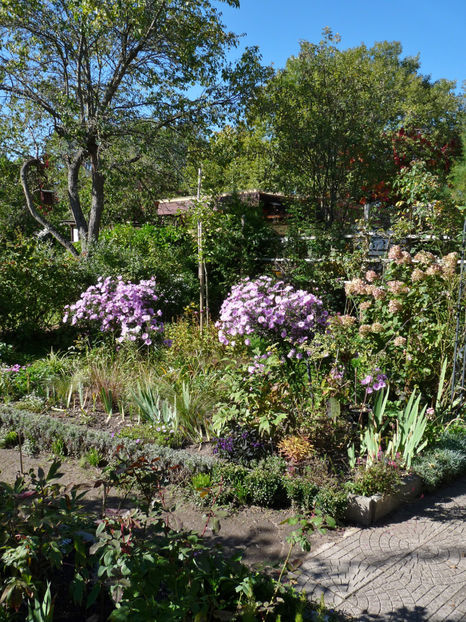  - 2022 - 03 - Toamna