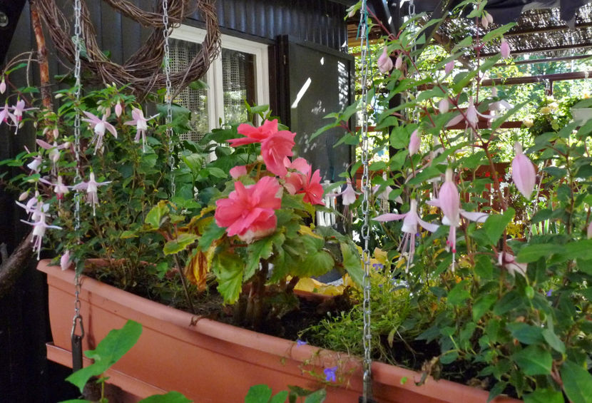  - 2022 - 03 - Toamna