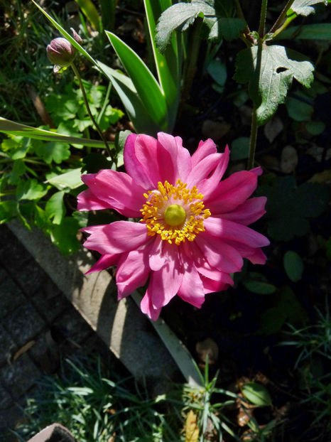  - 2022 - 03 - Toamna