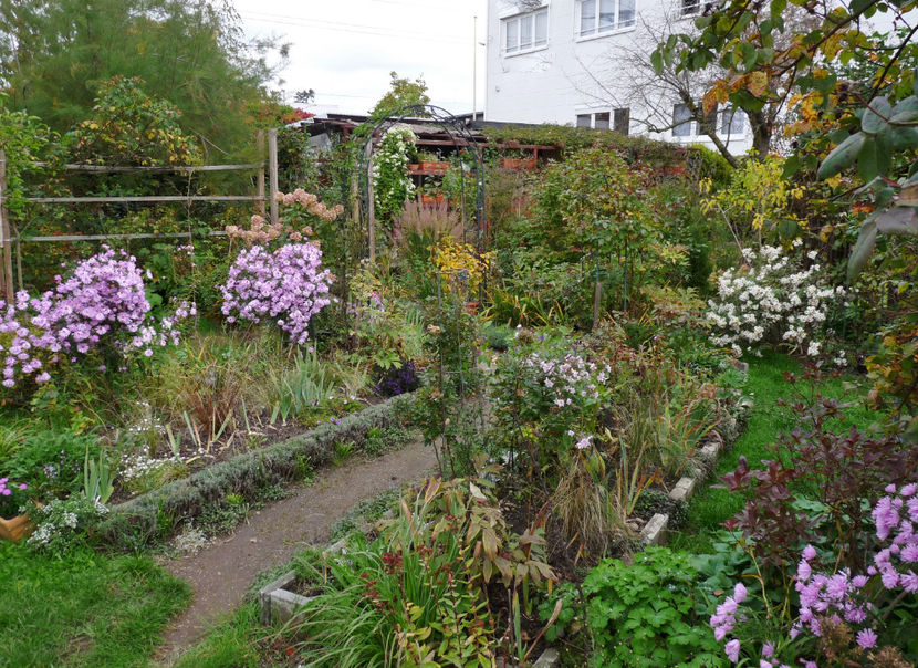  - 2022 - 03 - Toamna