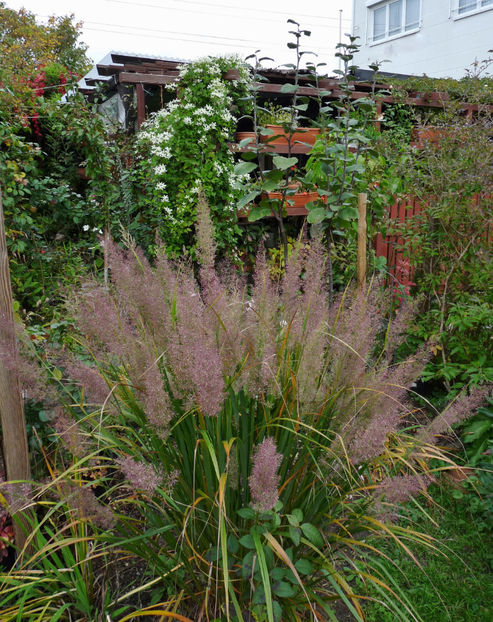  - 2022 - 03 - Toamna