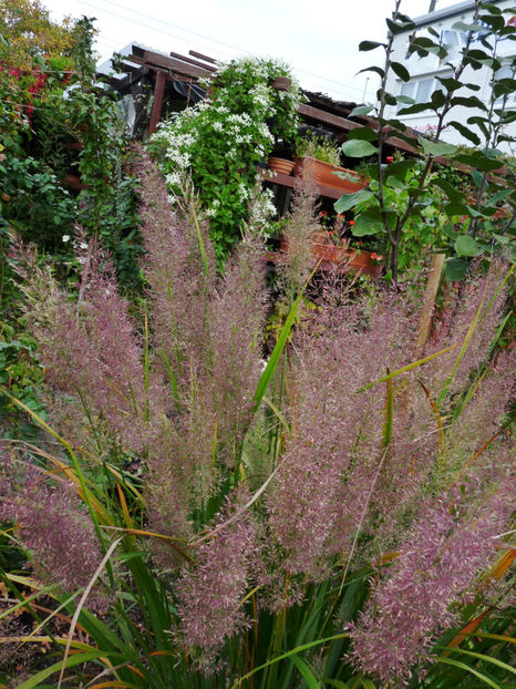  - 2022 - 03 - Toamna