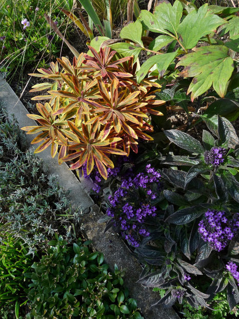  - 2022 - 03 - Toamna