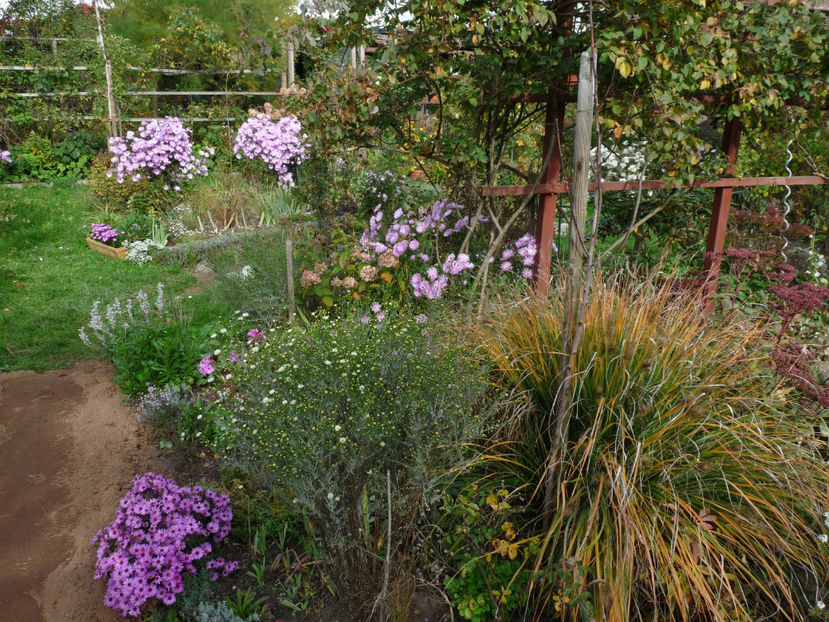  - 2022 - 03 - Toamna