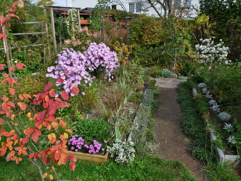  - 2022 - 03 - Toamna