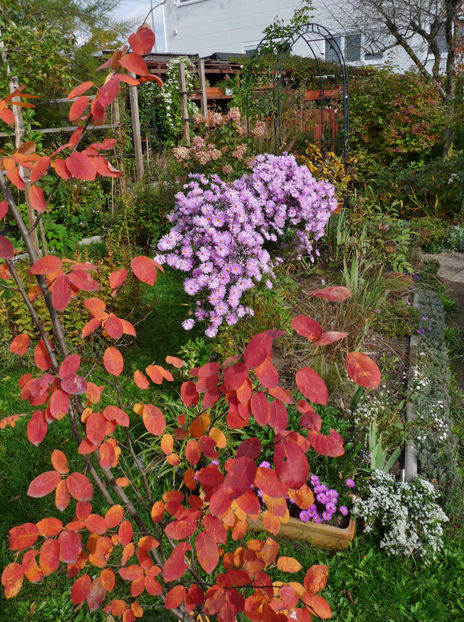  - 2022 - 03 - Toamna