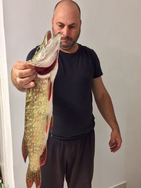 65 cm - 11SPINNING LA STIUCA