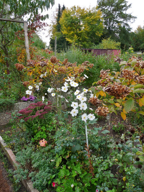  - 2022 - 03 - Toamna