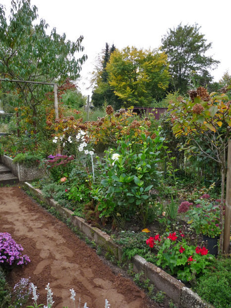  - 2022 - 03 - Toamna