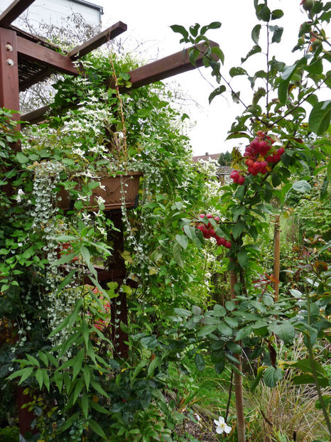  - 2022 - 03 - Toamna