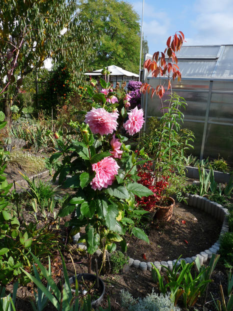  - 2022 - 03 - Toamna