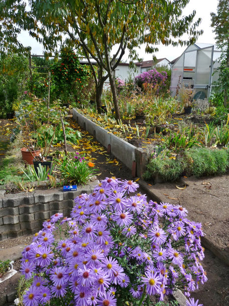  - 2022 - 03 - Toamna