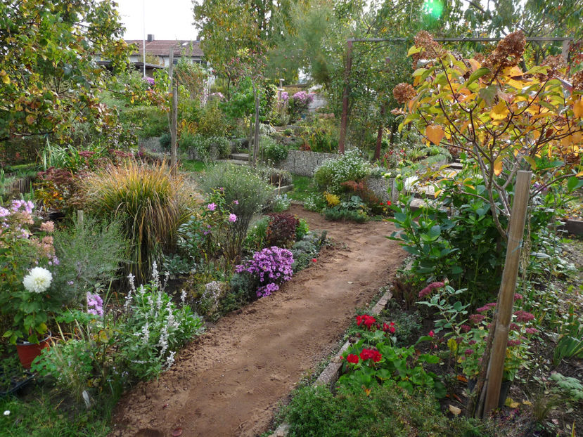  - 2022 - 03 - Toamna