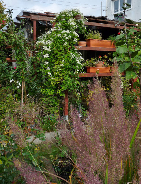  - 2022 - 03 - Toamna