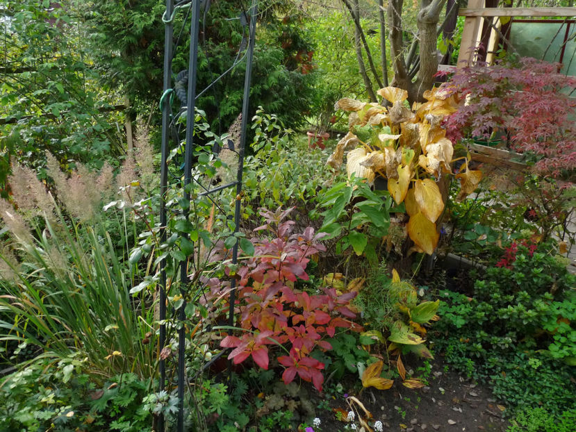  - 2022 - 03 - Toamna