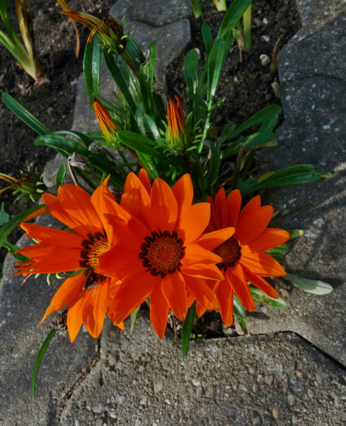  - 2022 - 03 - Toamna