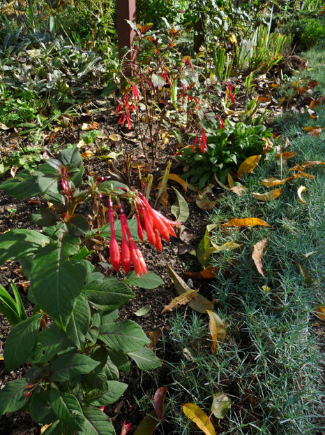  - 2022 - 03 - Toamna