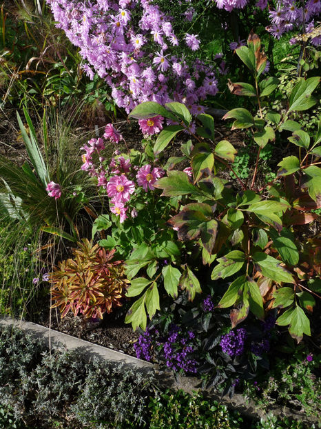  - 2022 - 03 - Toamna