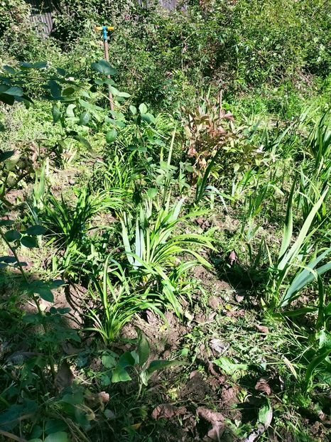 IMG20221019135959 - Octombrie 2022