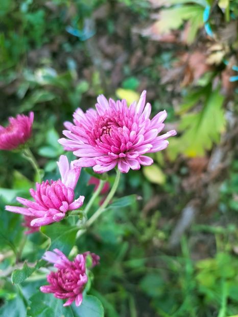 IMG20221019132213 - Octombrie 2022