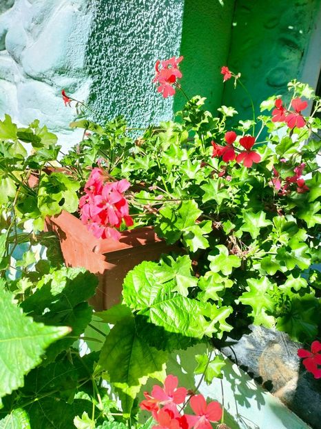 IMG20221019113339 - Octombrie 2022