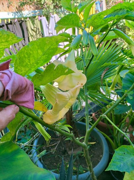 IMG20221019113238 - Octombrie 2022