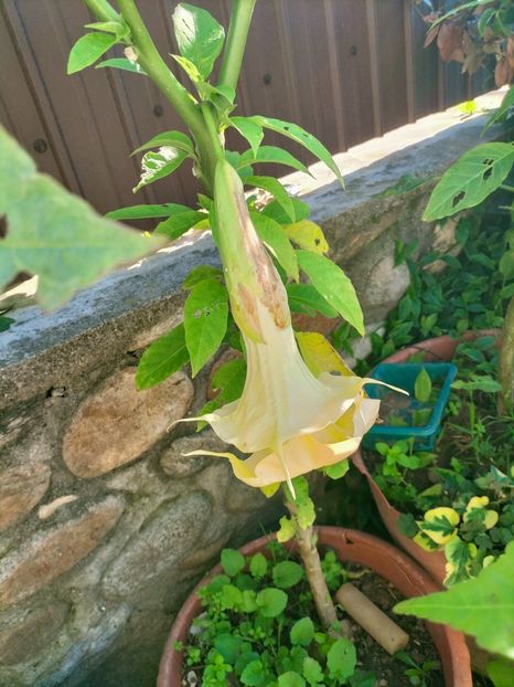 IMG20221019112620 - Octombrie 2022