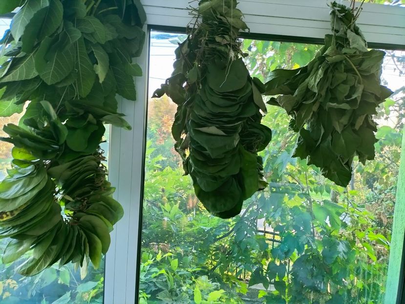 IMG20221016174917 - Octombrie 2022