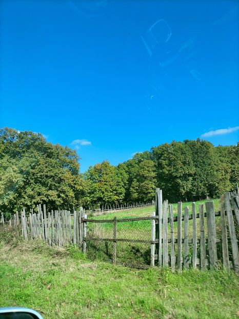 IMG20221016134606 - Octombrie 2022