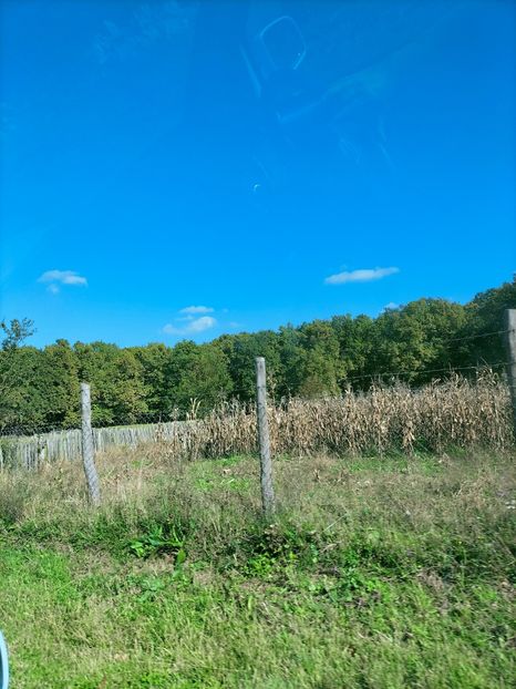 IMG20221016134602 - Octombrie 2022