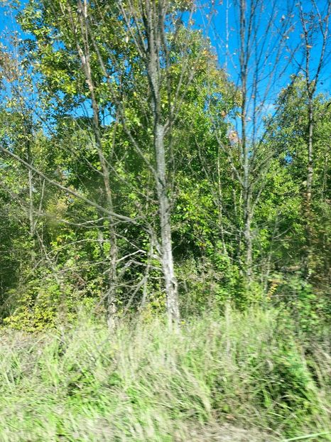 IMG20221016134119 - Octombrie 2022