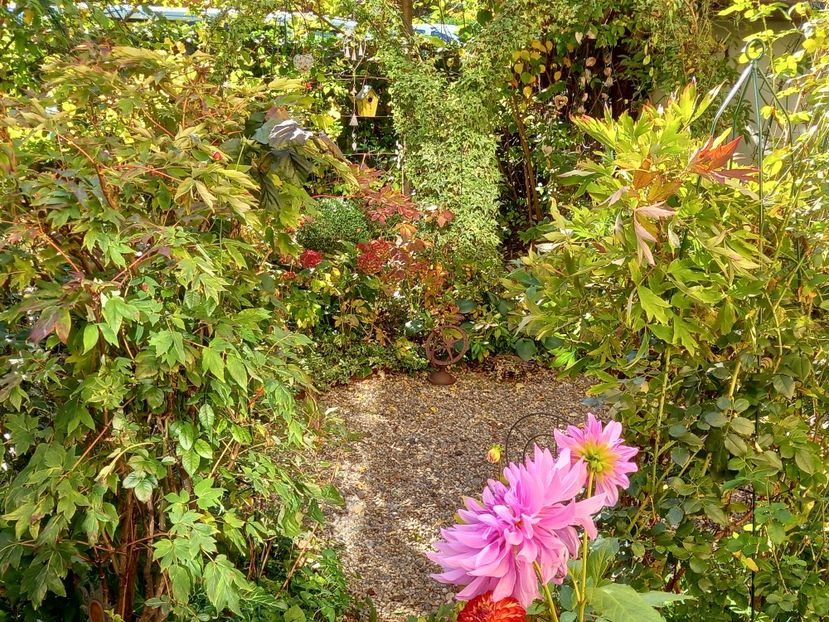  - Grădina 2022 continuare 4