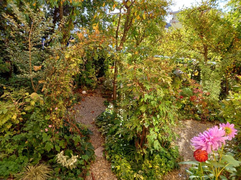  - Grădina 2022 continuare 4