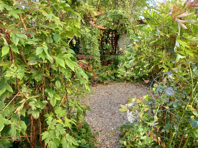  - Grădina 2022 continuare 4