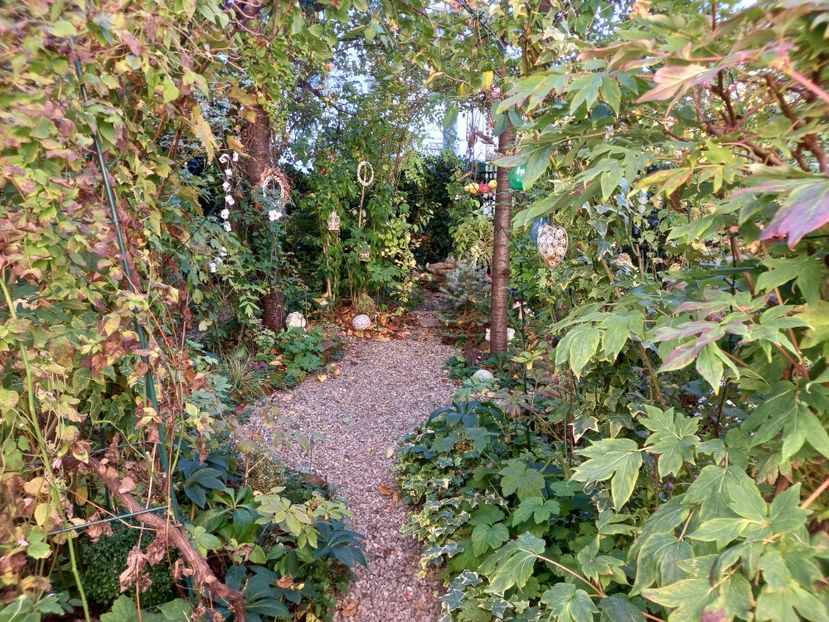  - Grădina 2022 continuare 4