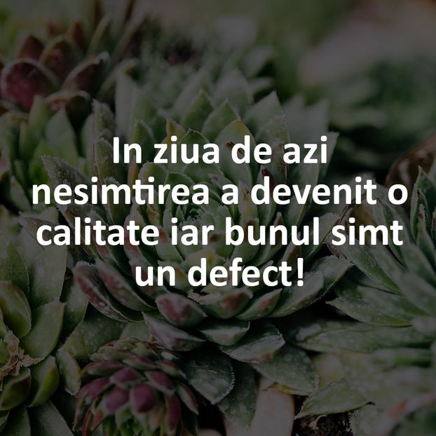  - - S t A t U s U r I