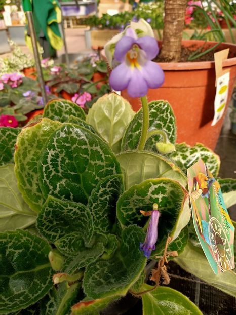 Img.2022.10.10 - Magazinul 2