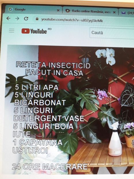  - descarcare 21-10-2022