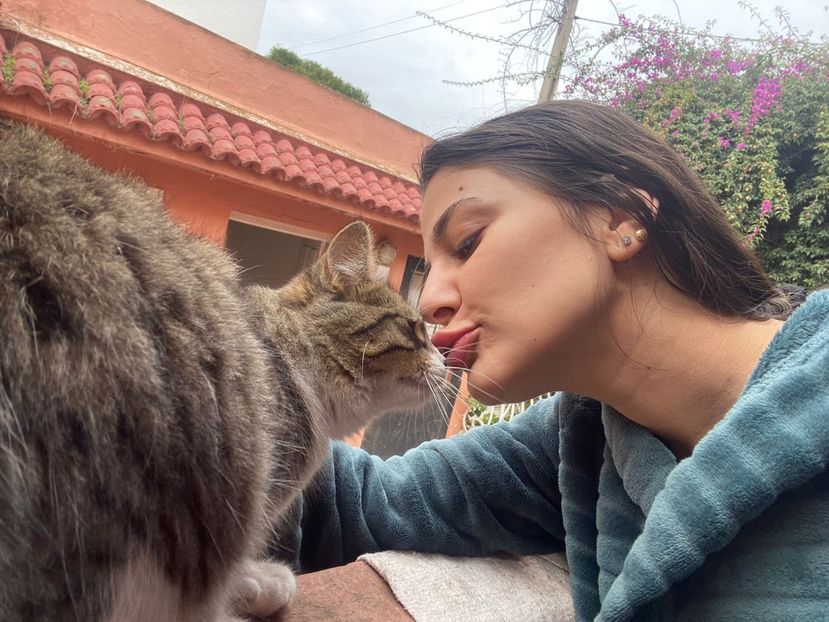 IMG-20220111-WA0027 - Descarcari Whatsapp