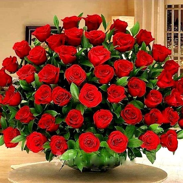 IMG-20220120-WA0002 - Descarcari Whatsapp