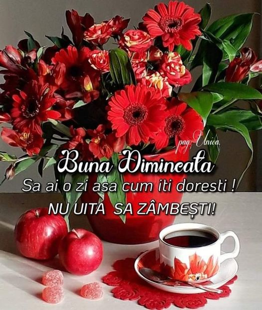 IMG-20220122-WA0000 - Descarcari Whatsapp