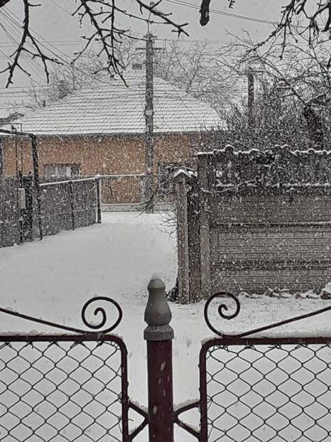 IMG-20220122-WA0003 - Descarcari Whatsapp