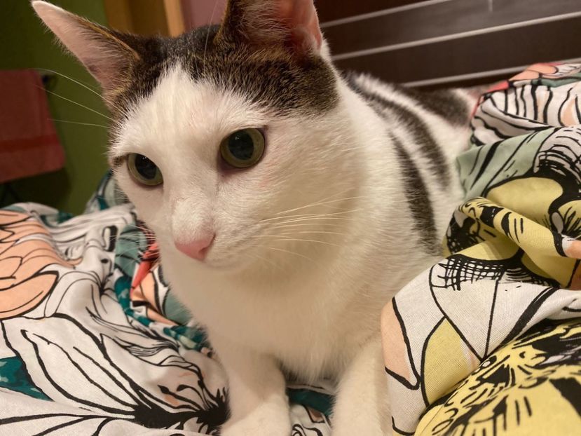 IMG-20220203-WA0002 - Descarcari Whatsapp