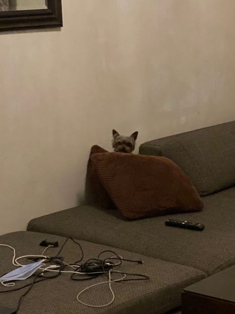 IMG-20220204-WA0001 - Descarcari Whatsapp