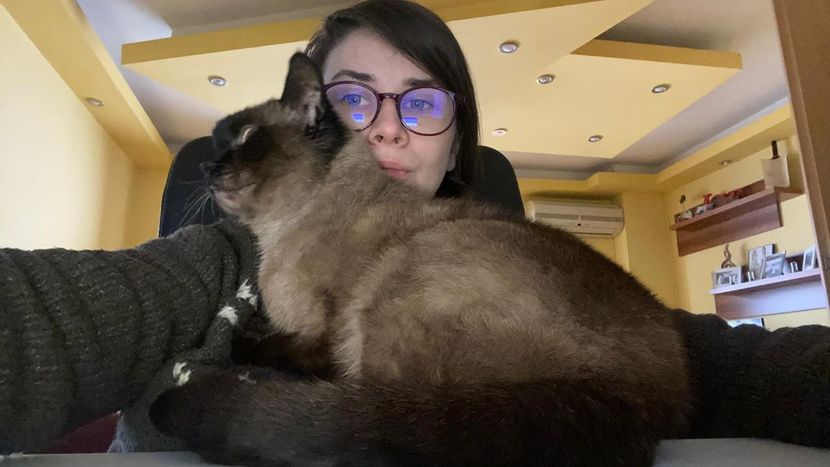 IMG-20220204-WA0015 - Descarcari Whatsapp