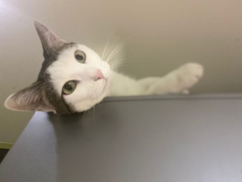 IMG-20220204-WA0018 - Descarcari Whatsapp