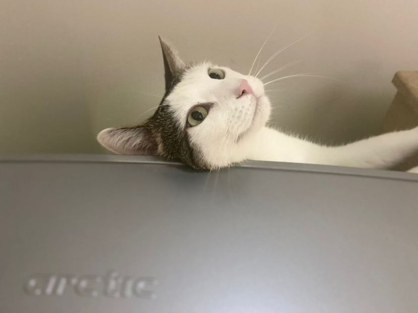 IMG-20220204-WA0019 - Descarcari Whatsapp