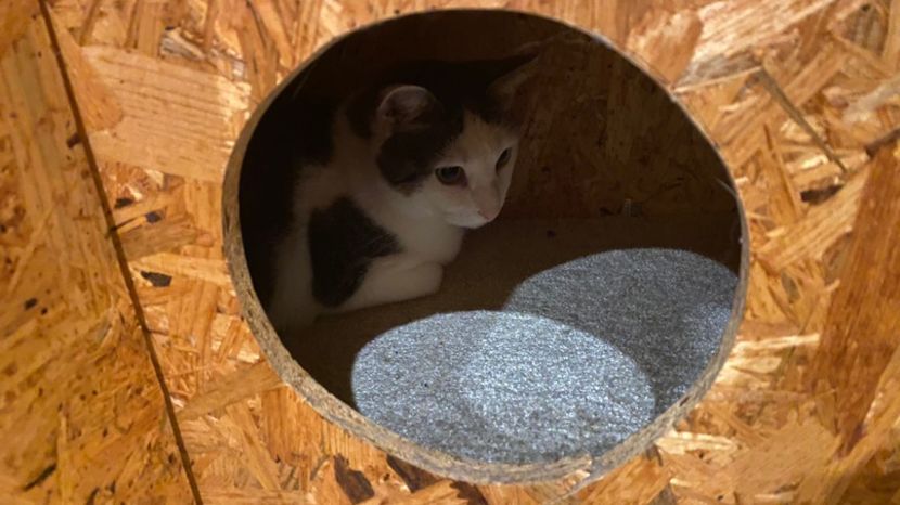 IMG-20220210-WA0005 - Descarcari Whatsapp