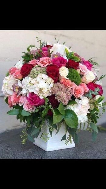 IMG-20220214-WA0015 - Descarcari Whatsapp