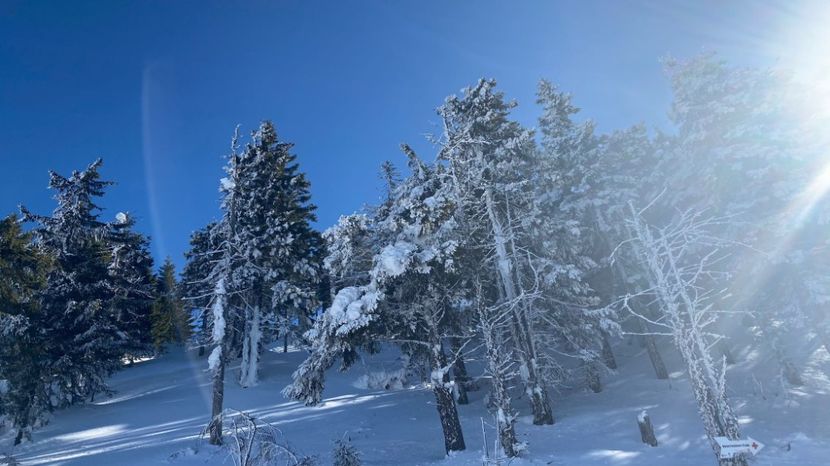 IMG-20220219-WA0012 - Descarcari Whatsapp